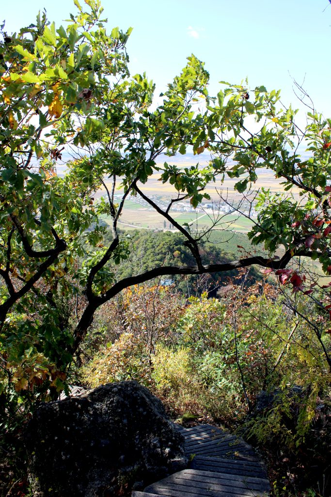 View of the steps leading down from the summit of Mount Ryongak with the leaves in Autumn colours