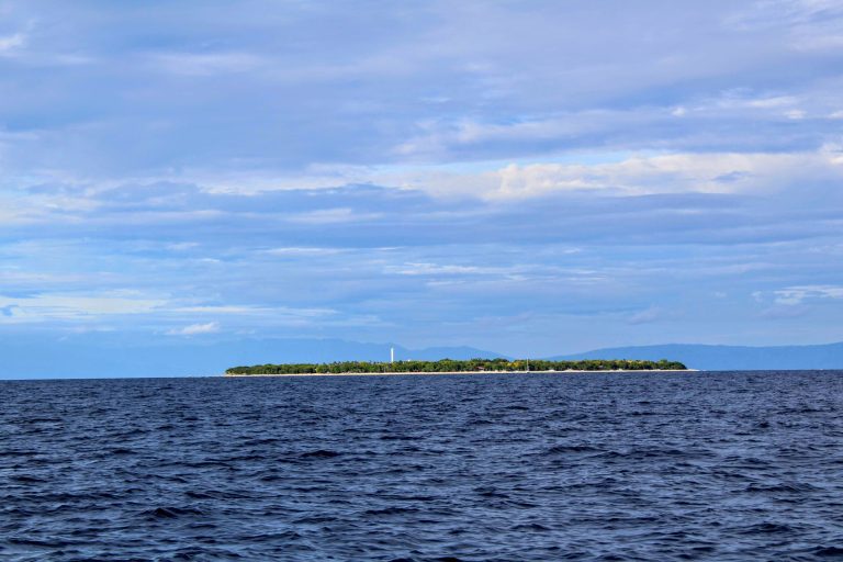 Snorkelling with Turtles in the Philippines