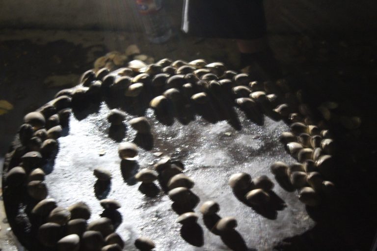 North Korean Gasoline Clams Sarah's Sojourns