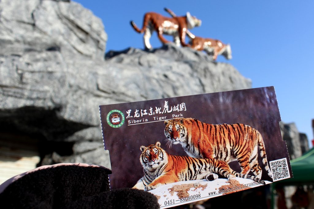 Entry ticket to Harbin's Siberian Tiger Park