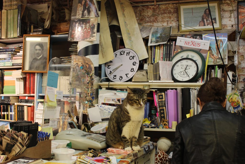 A person at the register in Libreria Aqua Alta. A cat is sitting in front of the register blocking access to it.