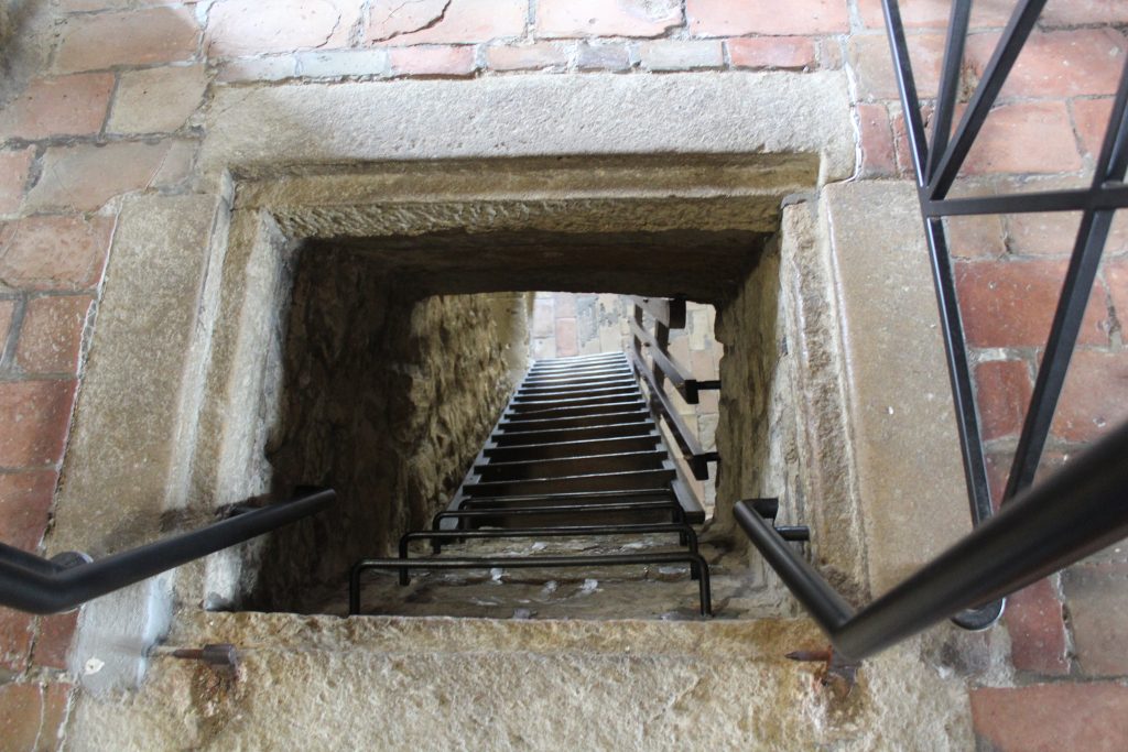 A photo looking down a steep ladder.