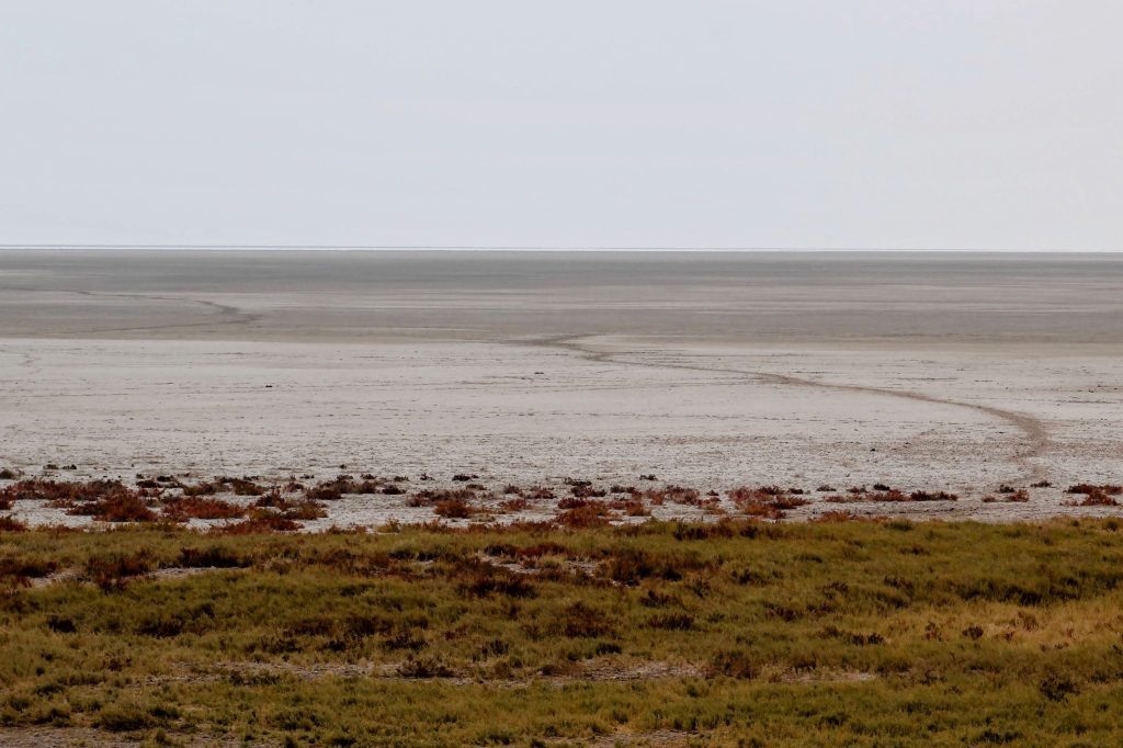 Photo of a large salt pan extending towards the horizon.