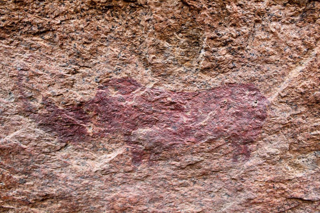 Rock art of a rhino.