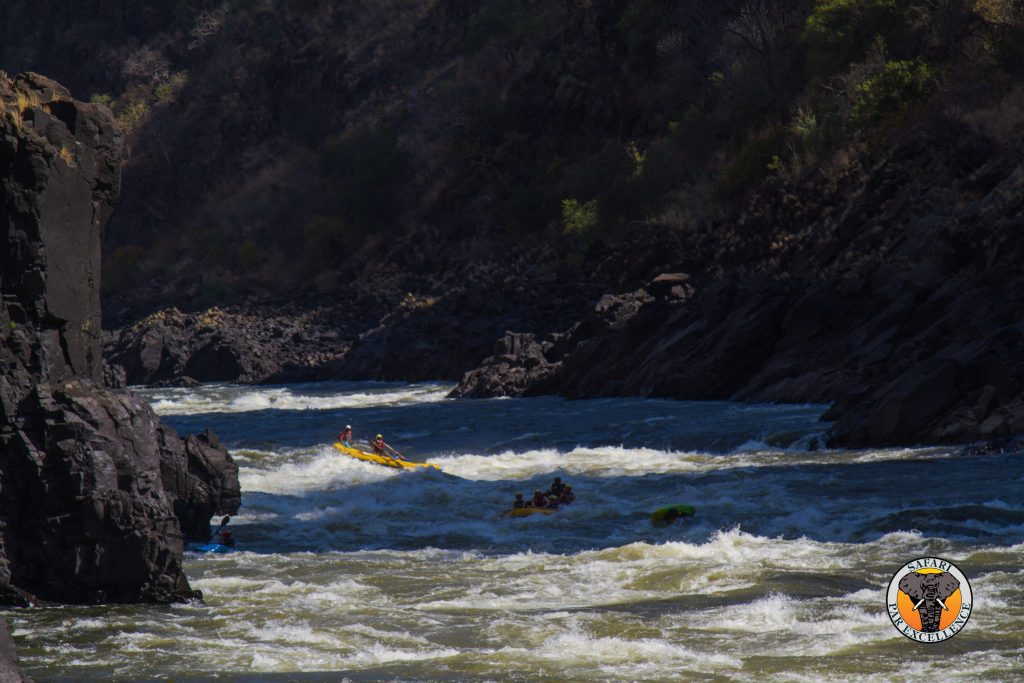 Photo of two white water rafts on the Zambezi river.