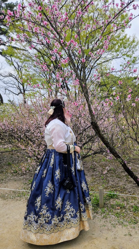 Photo of me wearing my plus size Hanbok while looking at some pink blossoms on a tree.