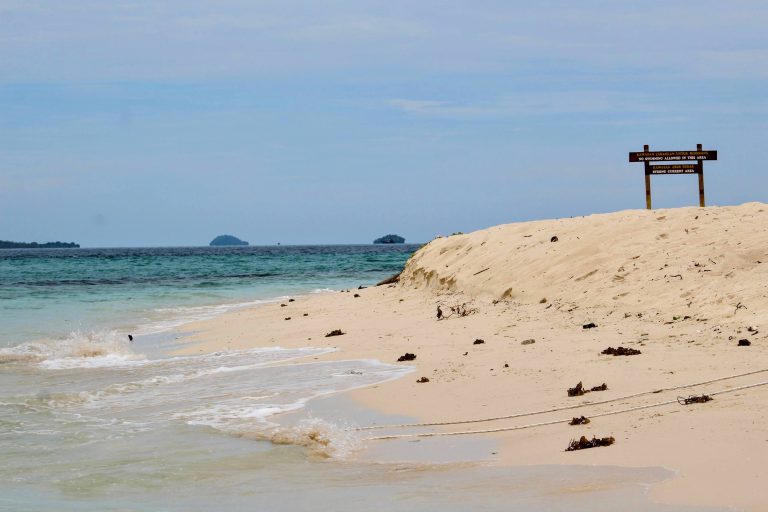 One night on Turtle Island