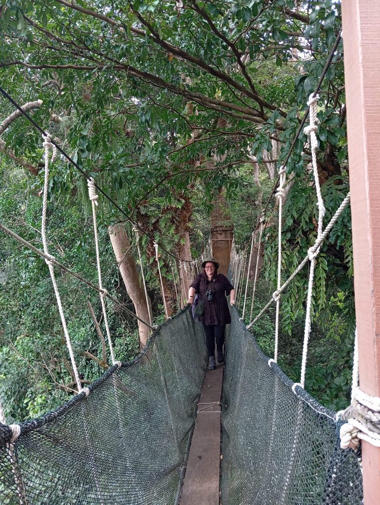 Photo of me standing on a narrow walkway. The base is wooden planks with netting at the side which comes up to my waist. I am holding both sides of the rope handrails. There are lots more ropes holding it up and in the background are lots of trees.