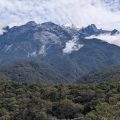 Photo of Mount Kinabalu, with clouds at the top. There are lots of trees in the foreground of the image.