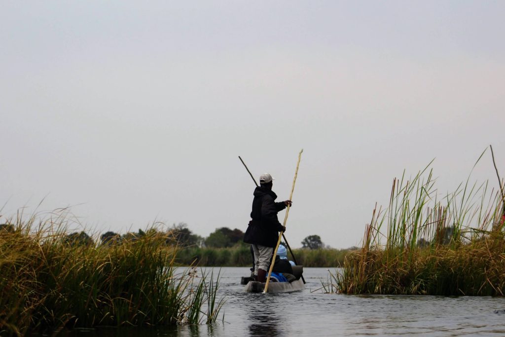 Photo of a man wearing a white cap standing at the back of a narrow canoe. He has a long wooden pole in his hands. The canoe is on the water with reeds on both sides suggesting a narrow channel to pass through.