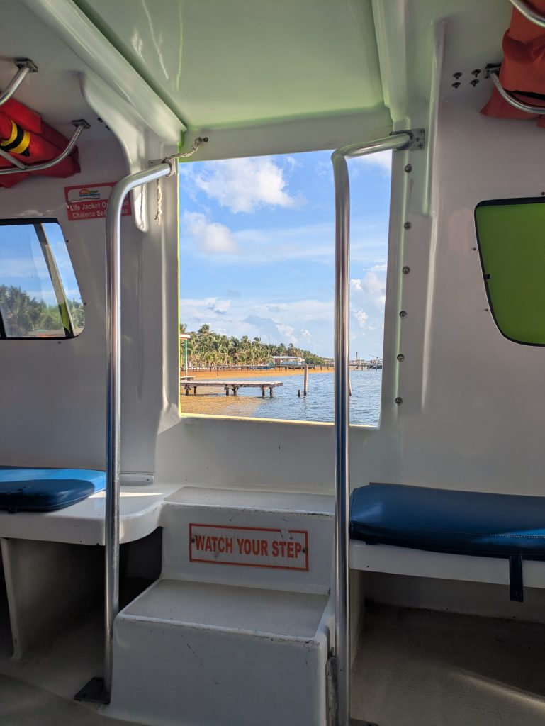Photo taken from the inside of the ferry. You can see seats on either side of a door with steps leading to it. Outside of the door you can see lots of trees and docks with a lot of sargassum in the water.